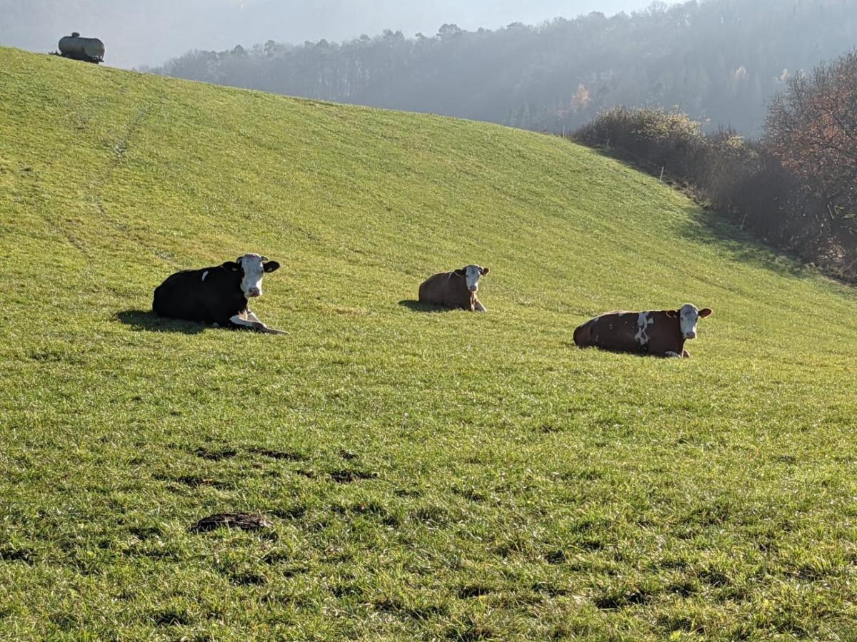 Ferienwohnungen Am Aeppelsberg Volkesfeld Bagian luar foto